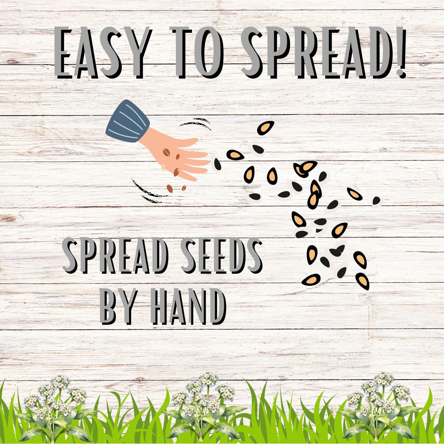 Sweet Alyssum Carpet Of Snow Seed Pouch - Blessings Grow Meadows