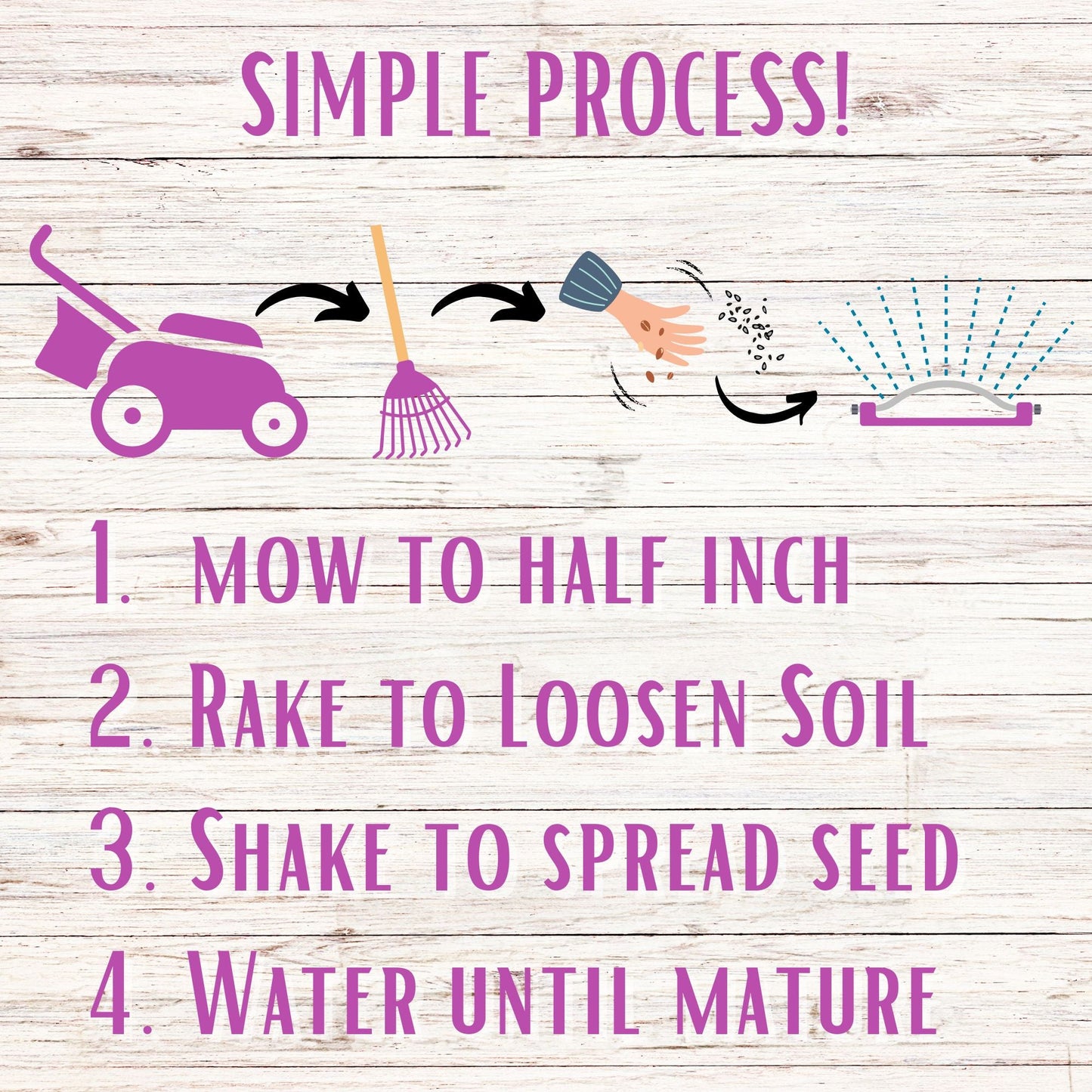 Sweet Alyssum Royal Carpet Seed Pouch - Blessings Grow Meadows