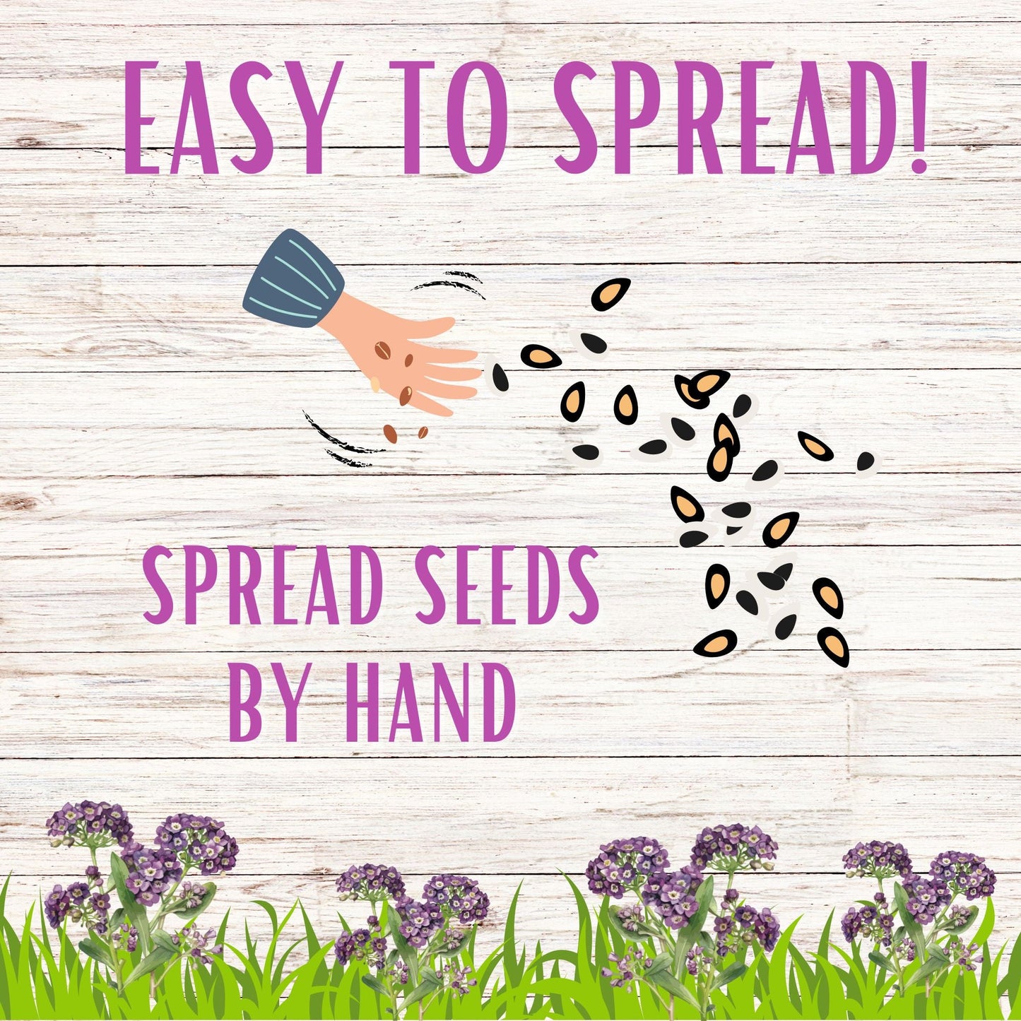 Sweet Alyssum Royal Carpet Seed Pouch - Blessings Grow Meadows