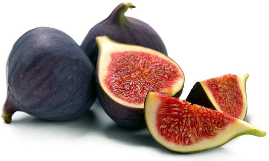 Black Mission Fig Tree by Florida Plants Nursery with lush green leaves and ripe fig fruits on a healthy tree.