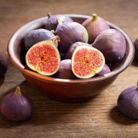 LSU Purple Fig Tree by Florida Plants Nursery, showcasing lush green leaves and vibrant purple-tinged branches.