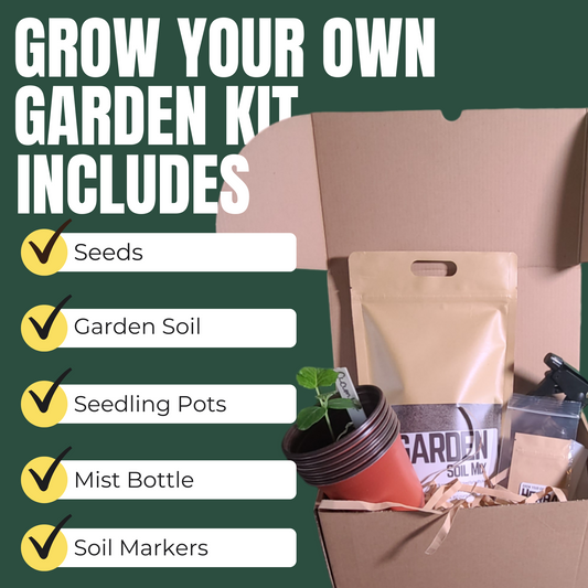 Hasty Roots immune-boosting kit for ornamental plants, featuring plant nutrients and growth supplements for healthy foliage.