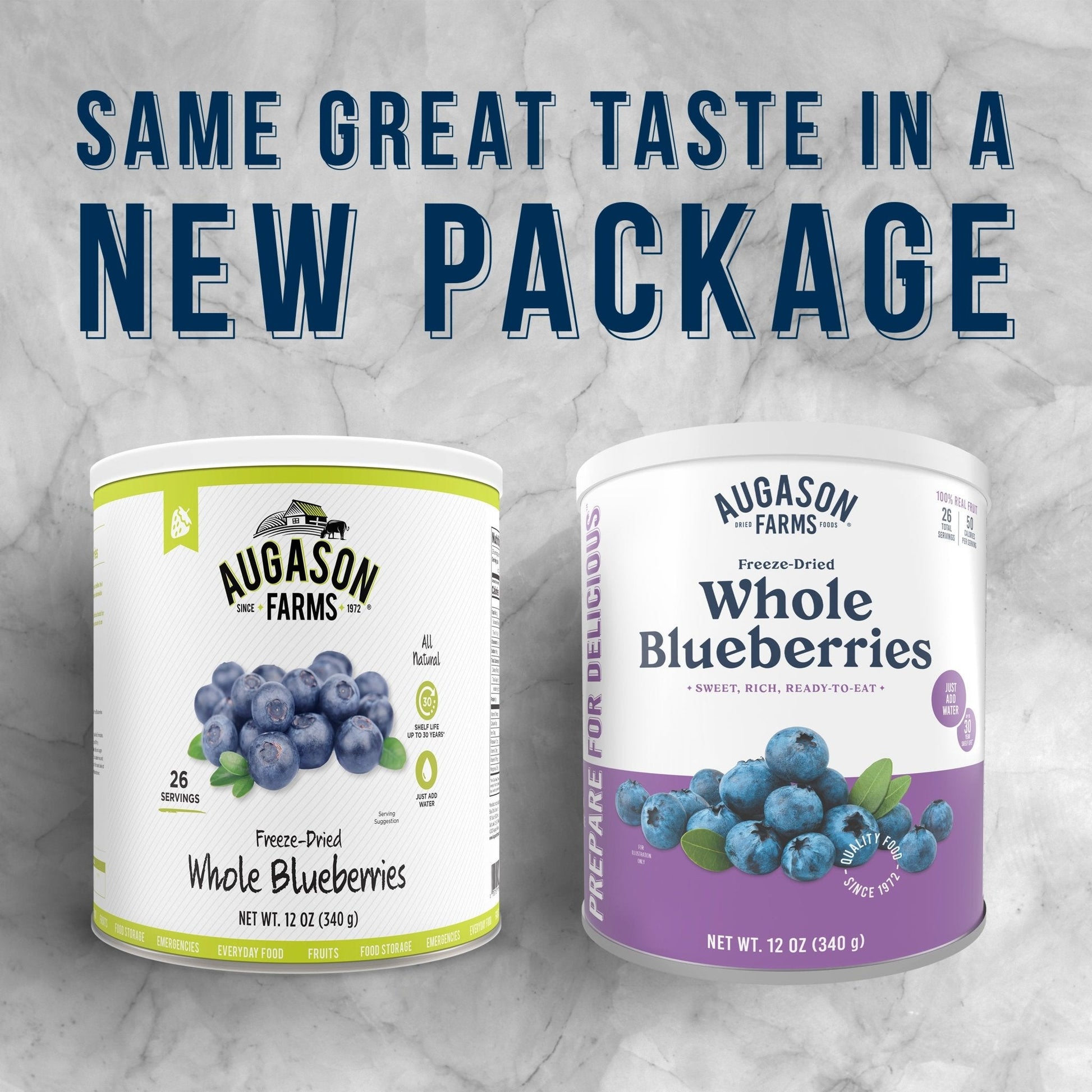 Freeze Dried Whole Blueberries Can, 26 Servings - Blessings Grow Meadows