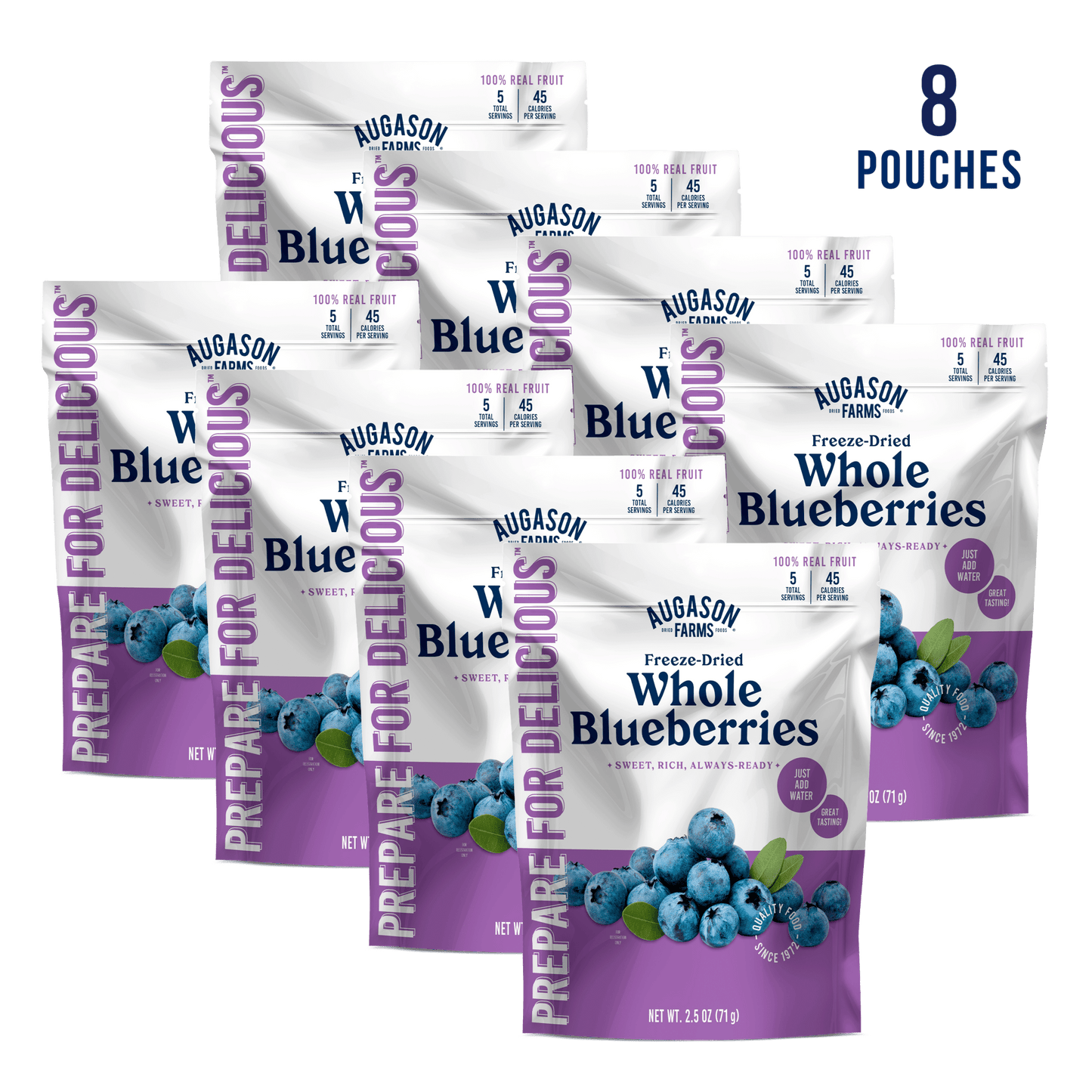 Freeze Dried Whole Blueberries Pouch, 5 Servings - Blessings Grow Meadows