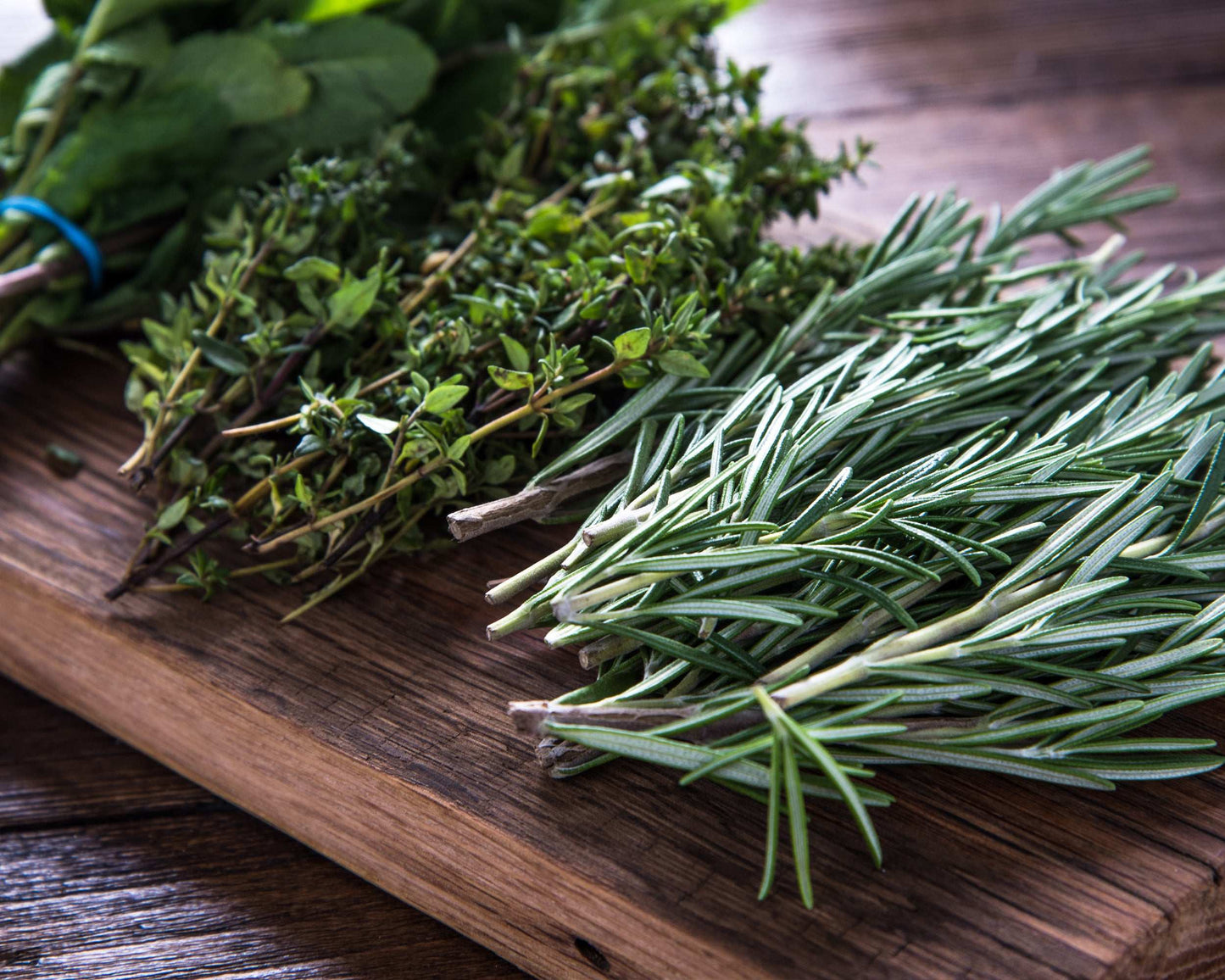 Fresh Garden Living herb plant collection featuring rosemary, sage, oregano, and thyme in quart pots, perfect for garden or kitchen.