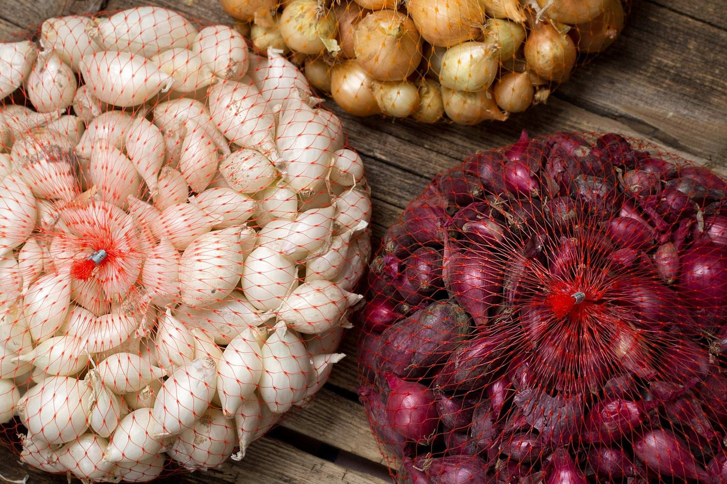 Bulk mixed red, white, and yellow onion sets from Fresh Garden Living, showing colorful onion bulbs for planting, 4 lbs, non-GMO.