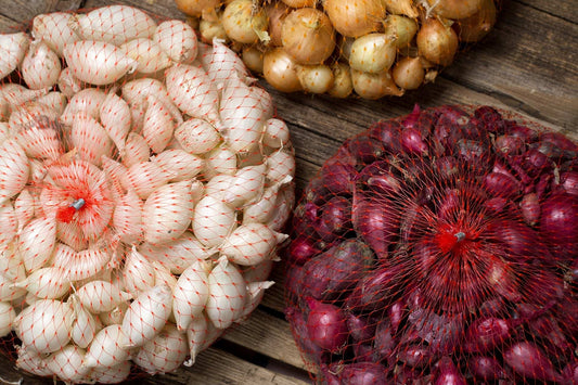 Mixed red, white, and yellow onion sets from Fresh Garden Living, 1 lb non-GMO onion bulbs for planting or cooking.