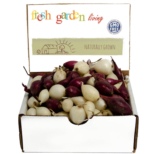 Mixed white and red onion sets from Fresh Garden Living, 8 oz bulbs, non-GMO onion set for planting or culinary use.