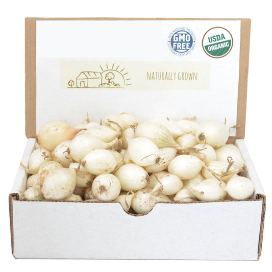 White Onion Sets 1 lb from Fresh Garden Living, Non-GMO White Ebenezer onion variety, fresh and ready for planting.
