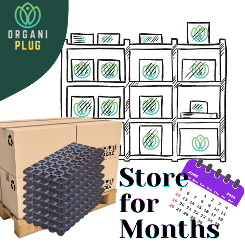 GrowersHouse OrganiPlug seed and cutting plugs in a pallet tray, pre-filled with 50 biodegradable plugs for planting and propagation.
