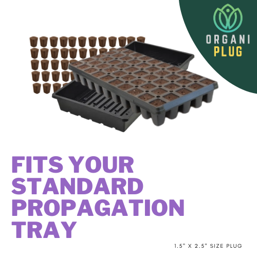 GrowersHouse OrganiPlug seed and cutting plugs in a single pre-filled tray with 50 tall plugs for plant propagation.