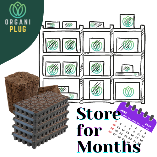 GrowersHouse OrganiPlug seed and cutting plug tray with 50 tall pre-filled plugs, perfect for starting plants indoors.
