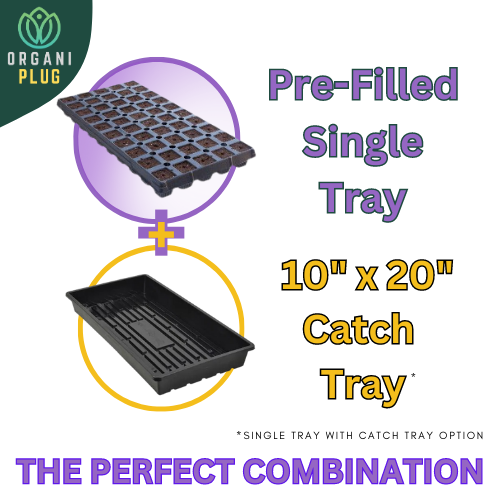 GrowersHouse OrganiPlug seed and cutting plugs in a pre-filled tray, perfect for starting plants and propagation.