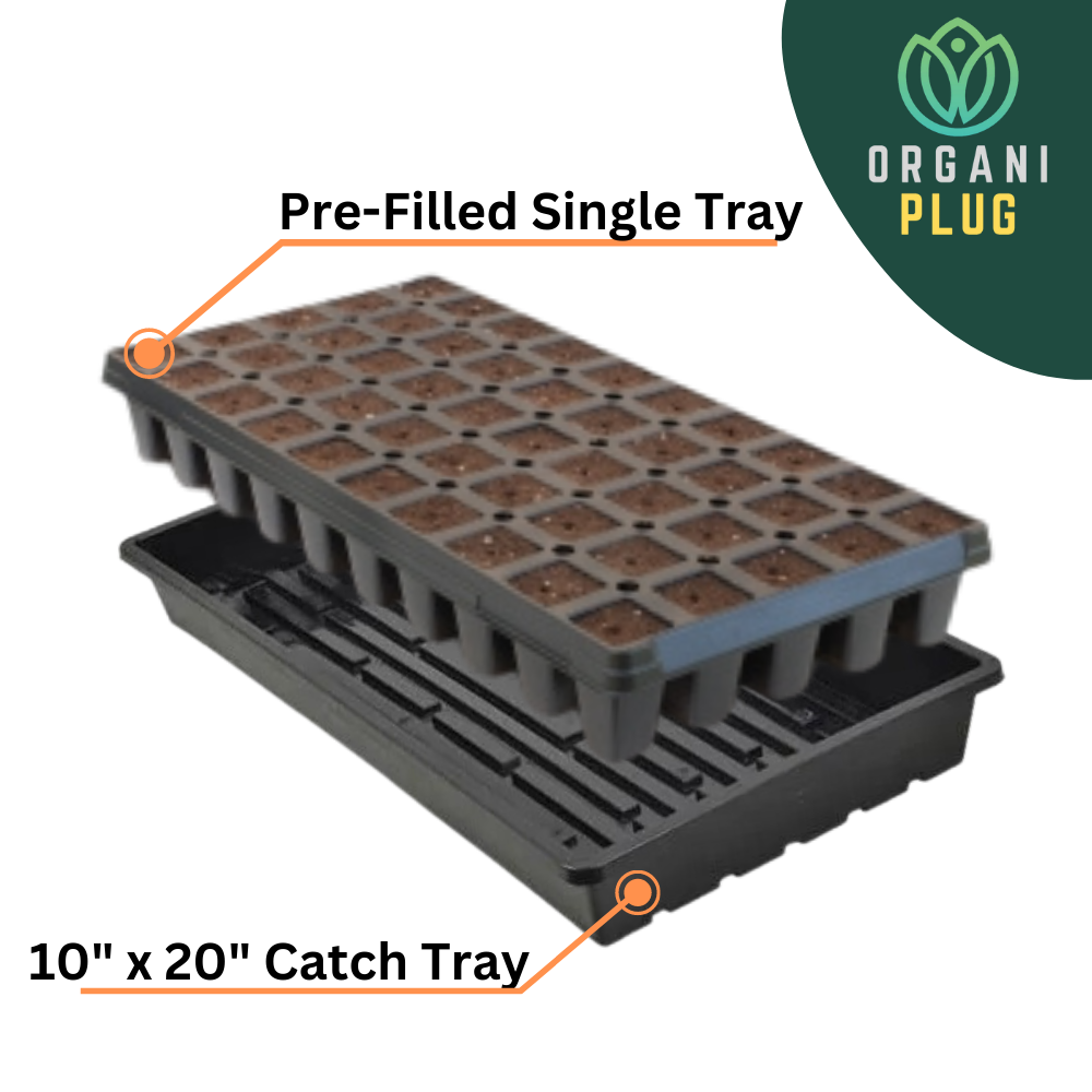 GrowersHouse OrganiPlug Seed & Cutting Plugs in a 50-count tall tray with catch tray, ideal for seedling and cutting propagation.