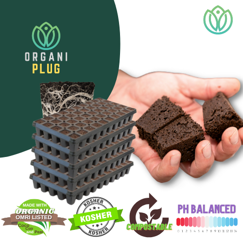 GrowersHouse OrganiPlug seed and cutting plugs in a tray of 50 tall plugs for propagation and plant propagation.