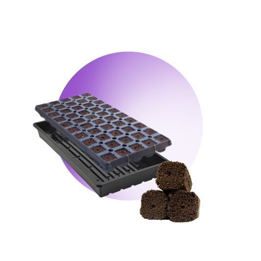 GrowersHouse OrganiPlug seed and cutting plugs in a pre-filled tray with catch tray, ideal for starting plants.