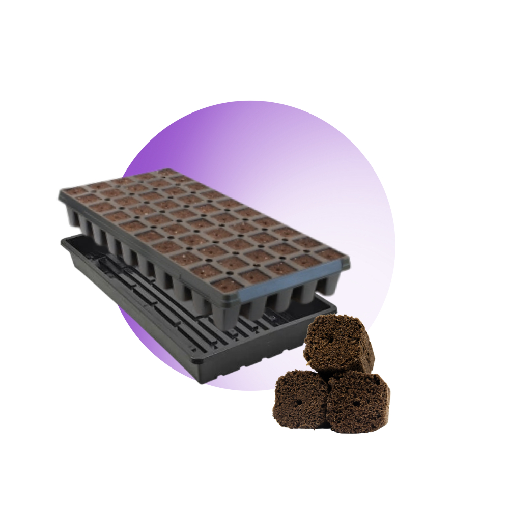 GrowersHouse OrganiPlug seed and cutting plugs in a pre-filled tray with 50 tall plugs, includes catch tray for easy propagation.
