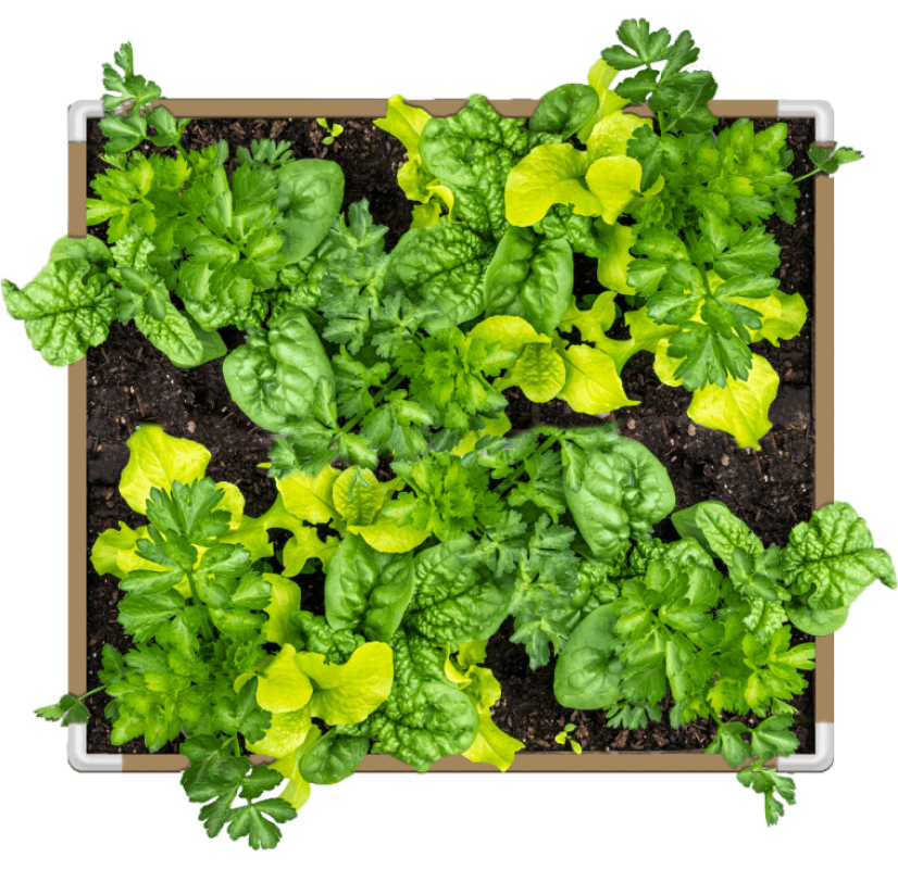 Living Soil Fabric Bed