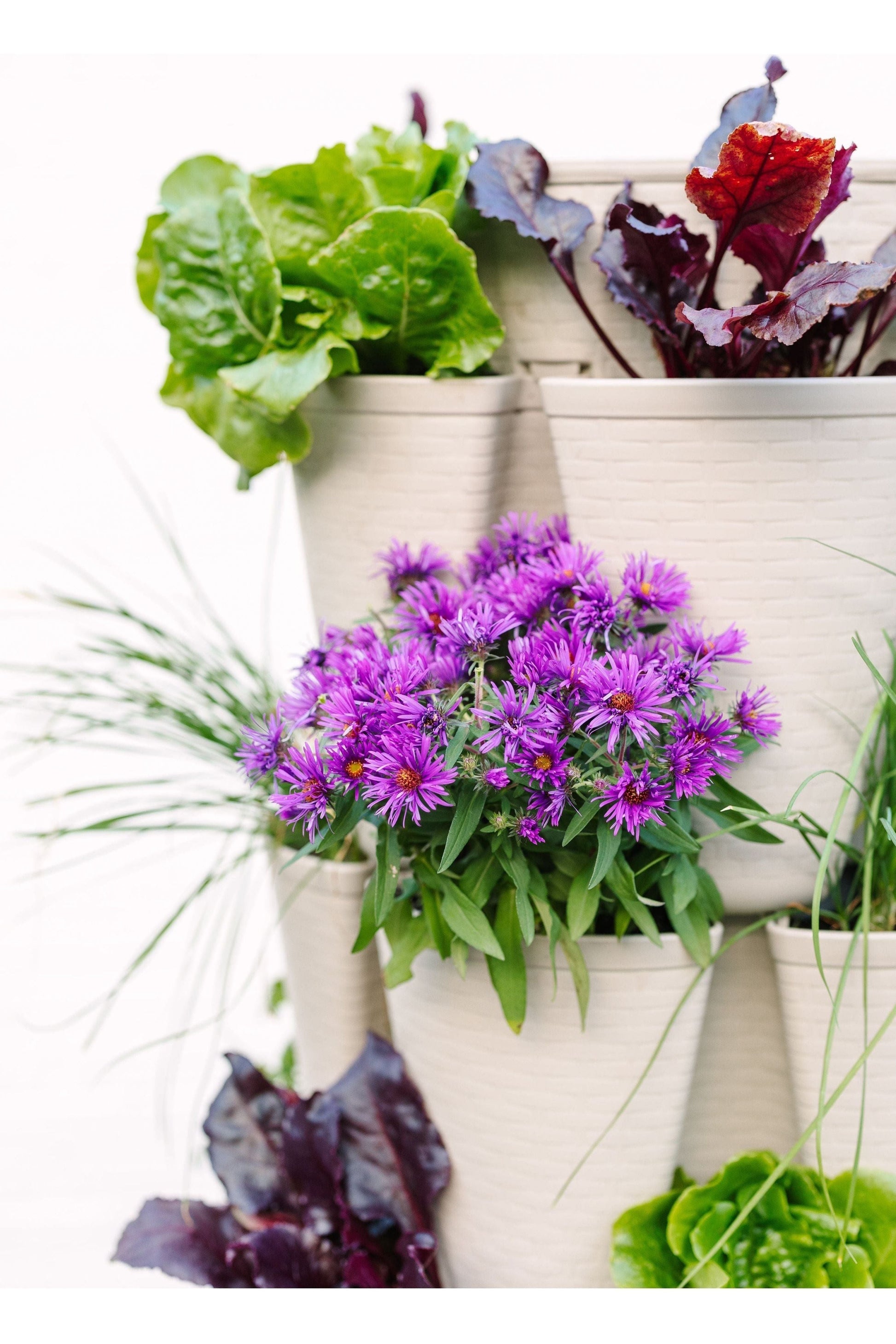 5 Tier GreenStalk Garden Original Vertical Planter - Basket Weave Texture - Blessings Grow Meadows