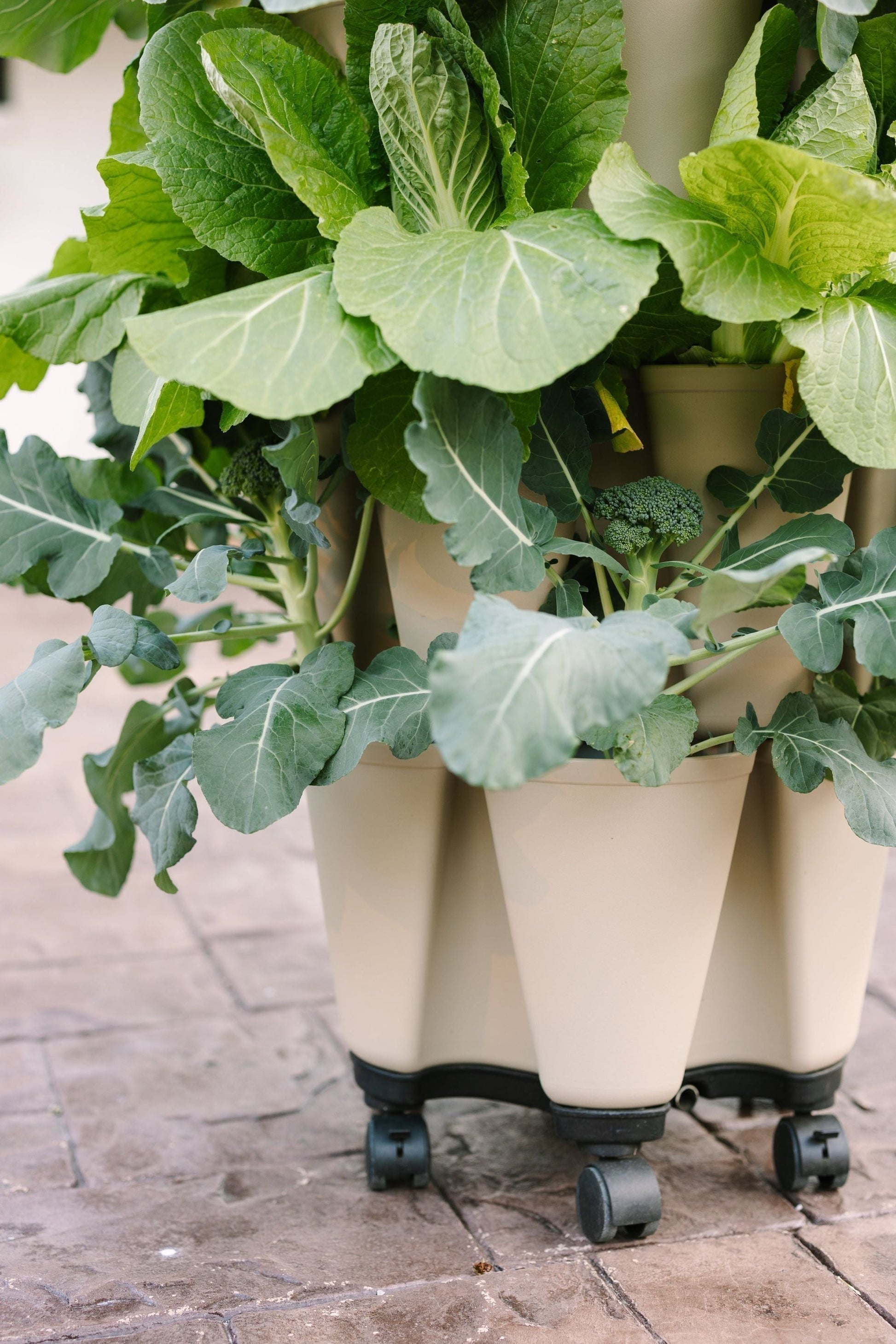 GreenStalk Garden Mover - Blessings Grow Meadows