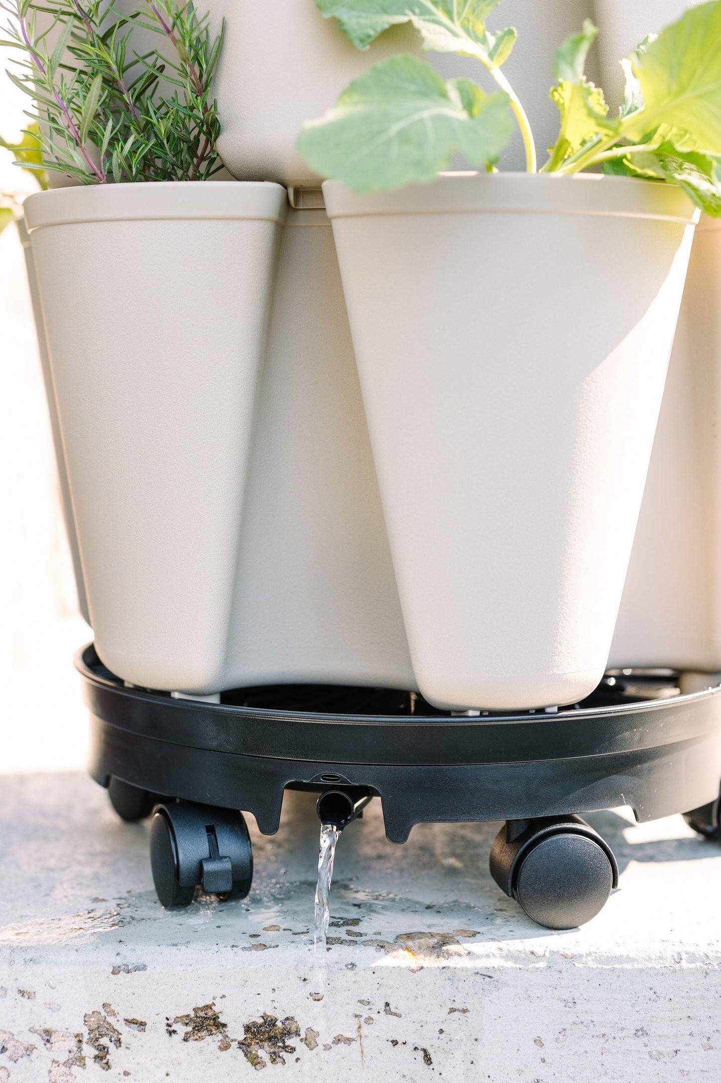 GreenStalk Garden Ultimate Spinner With Wheel Kit - Blessings Grow Meadows