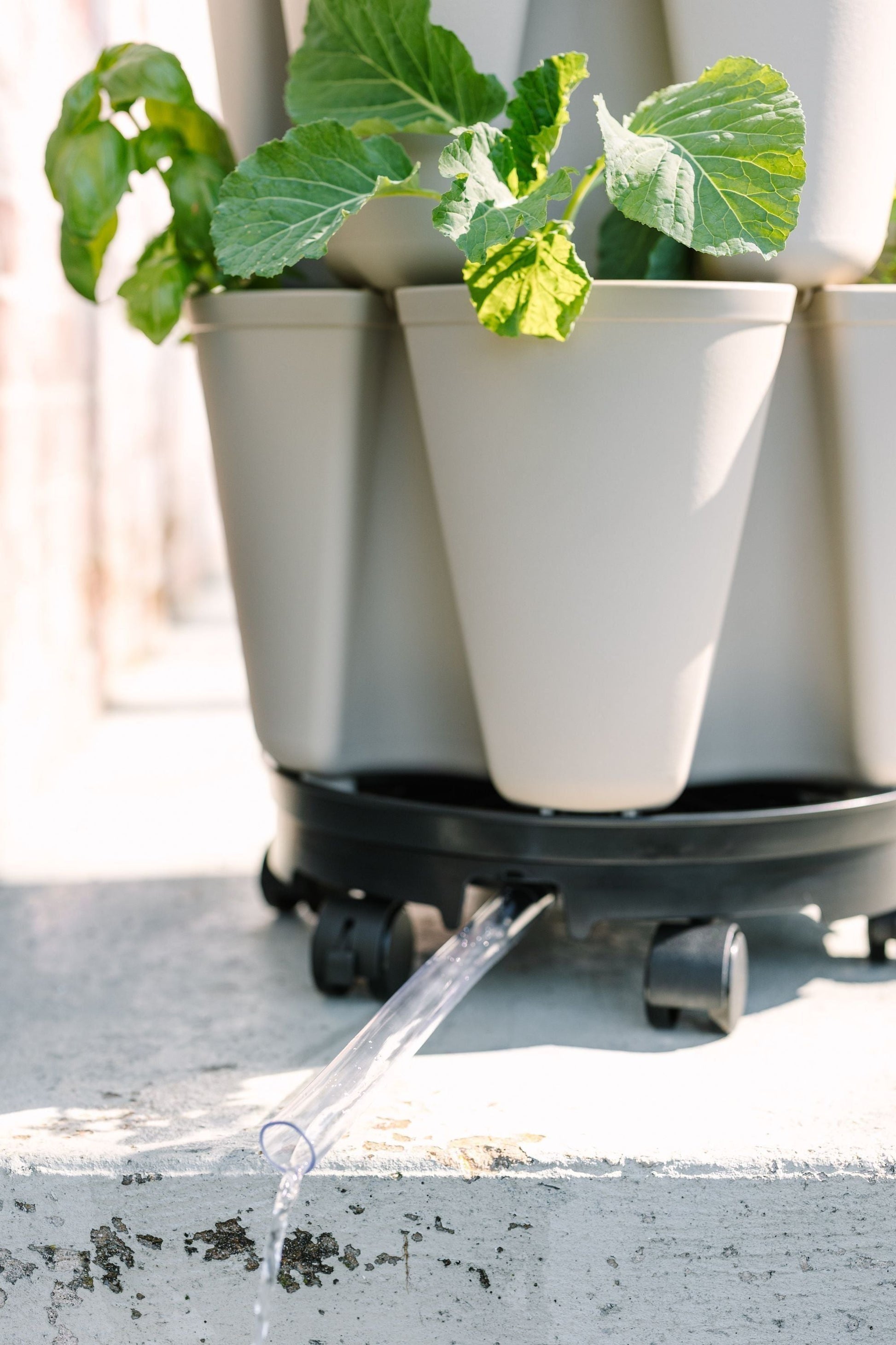 GreenStalk Garden Ultimate Spinner With Wheel Kit - Blessings Grow Meadows