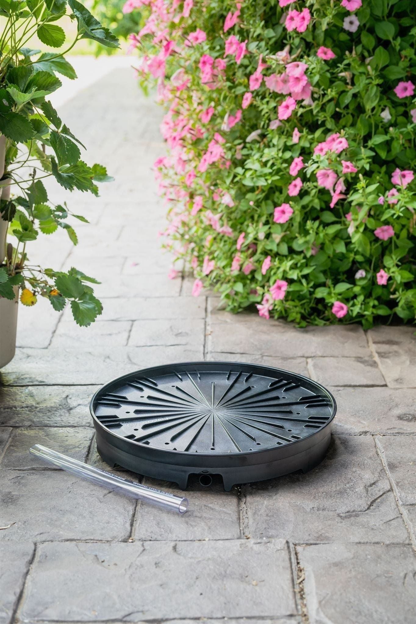 GreenStalk Garden Ultimate Spinner Base Only - Blessings Grow Meadows