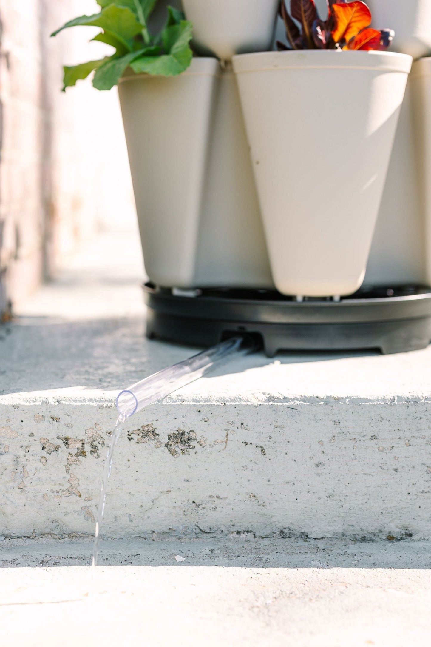 GreenStalk Garden Ultimate Spinner Base Only - Blessings Grow Meadows