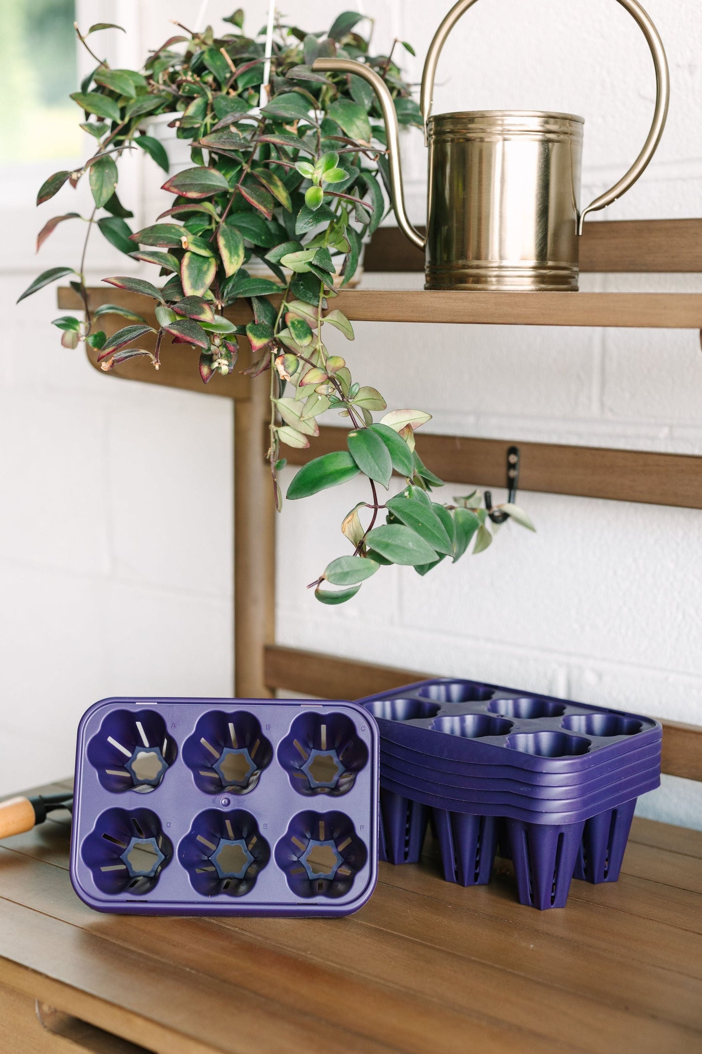 GreenStalk Garden Seed Starter Kit with Domes - Blessings Grow Meadows -