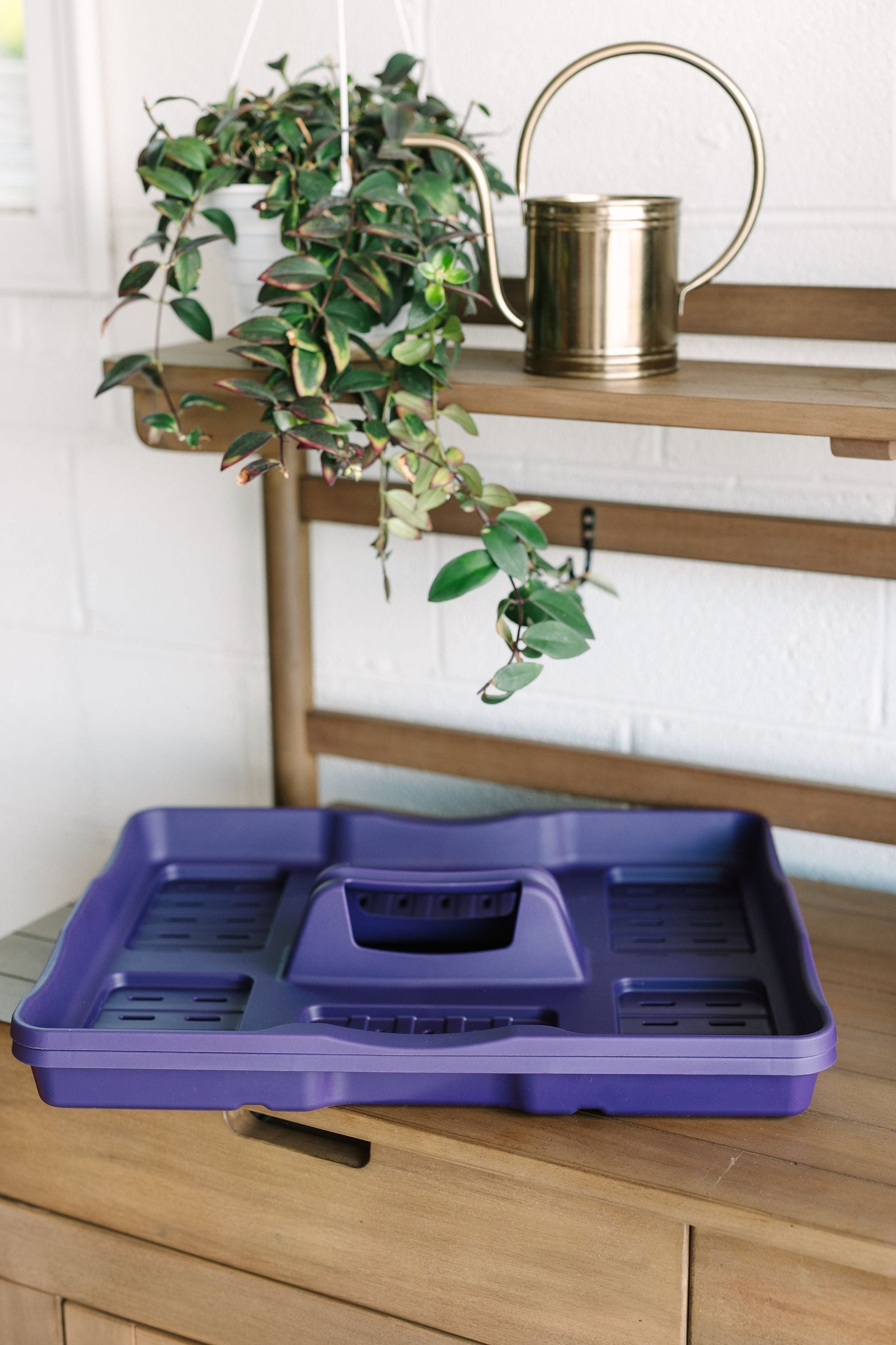 GreenStalk Garden Seed Starter Kit with Domes - Blessings Grow Meadows -