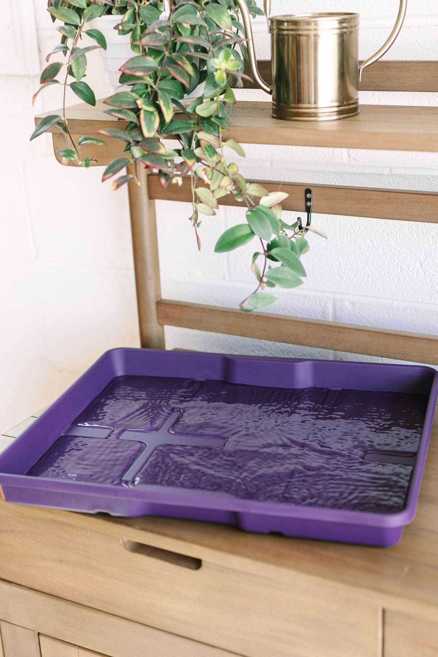 GreenStalk Garden Seed Starter Kit with Domes - Blessings Grow Meadows -