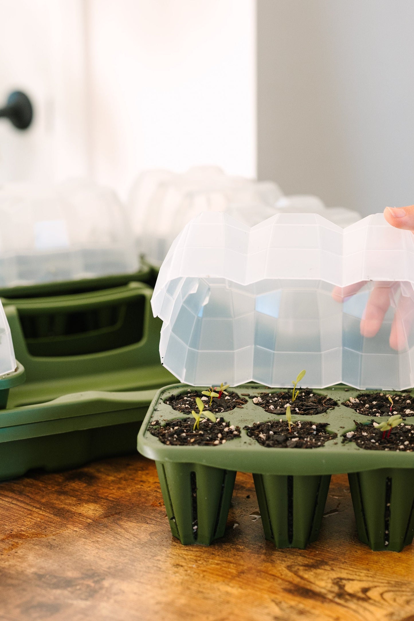 GreenStalk Garden Seed Starter Kit with Domes - Blessings Grow Meadows -