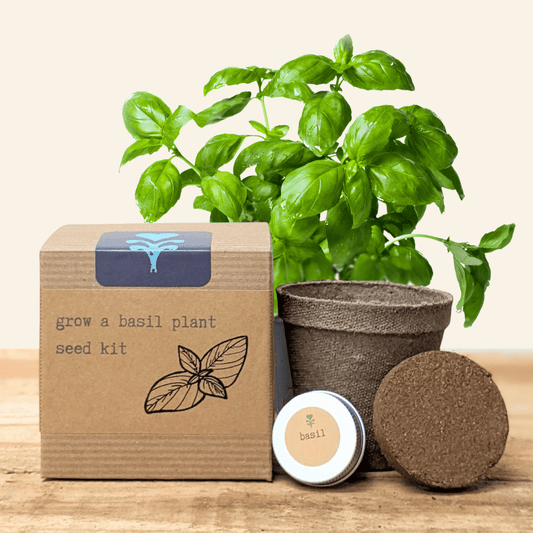 Basil plant seed kit with herb seeds from Plantflix, featuring soil, seed packets, and small basil plant starter in a gardening tray.