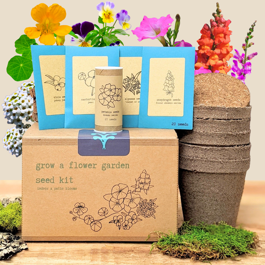 Plantflix Grow a Flower Garden Indoor Blooms Seed Kit with colorful flower seeds for indoor gardening and blooming flowers.