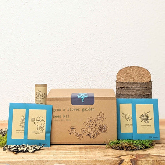 Indoor flower seed kit by Plantflix for growing a flower garden, featuring colorful bloom seeds in a compact kit.