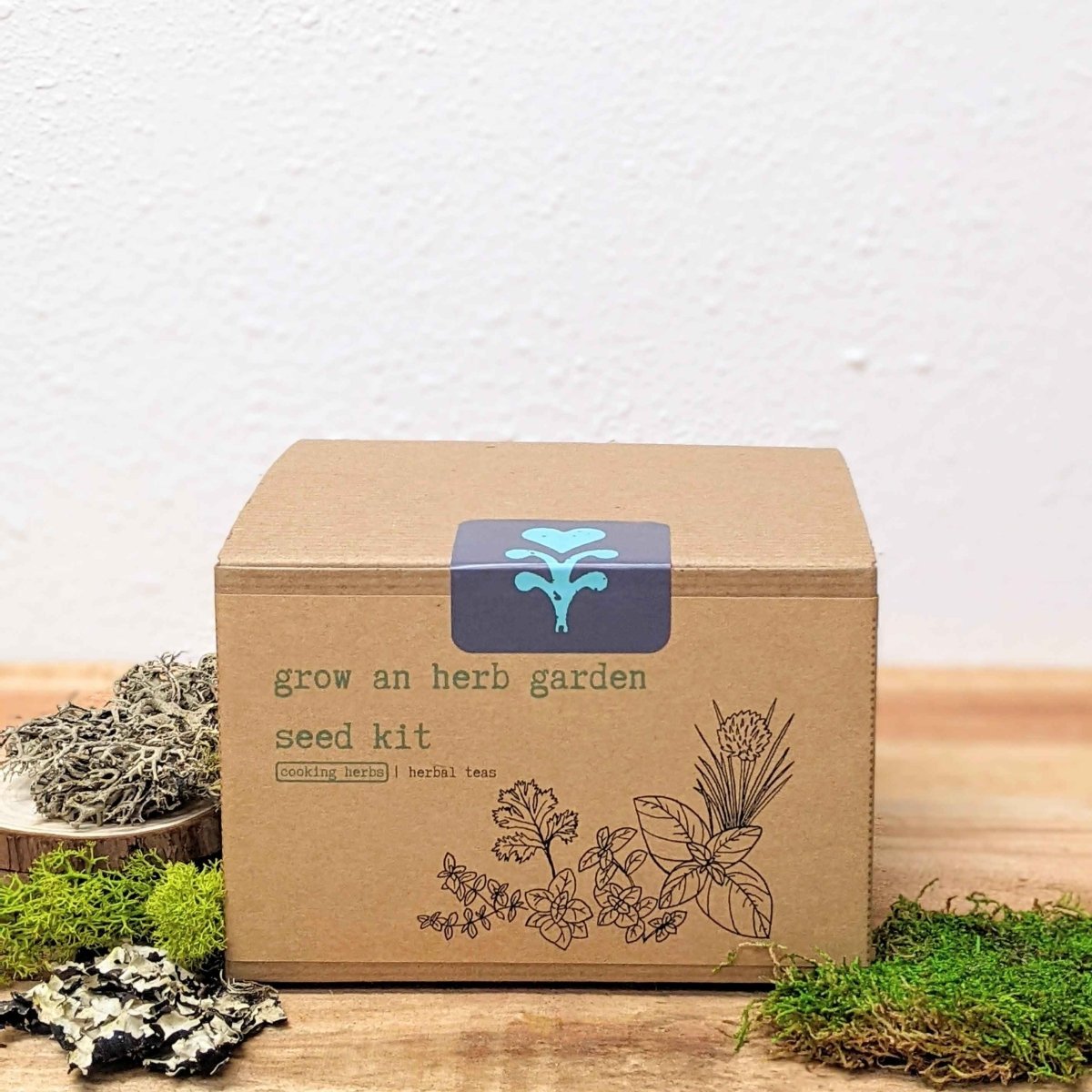 Herb seeds kit for growing cooking herbs, including basil, parsley, and cilantro, from Plantflix for home herb gardening.
