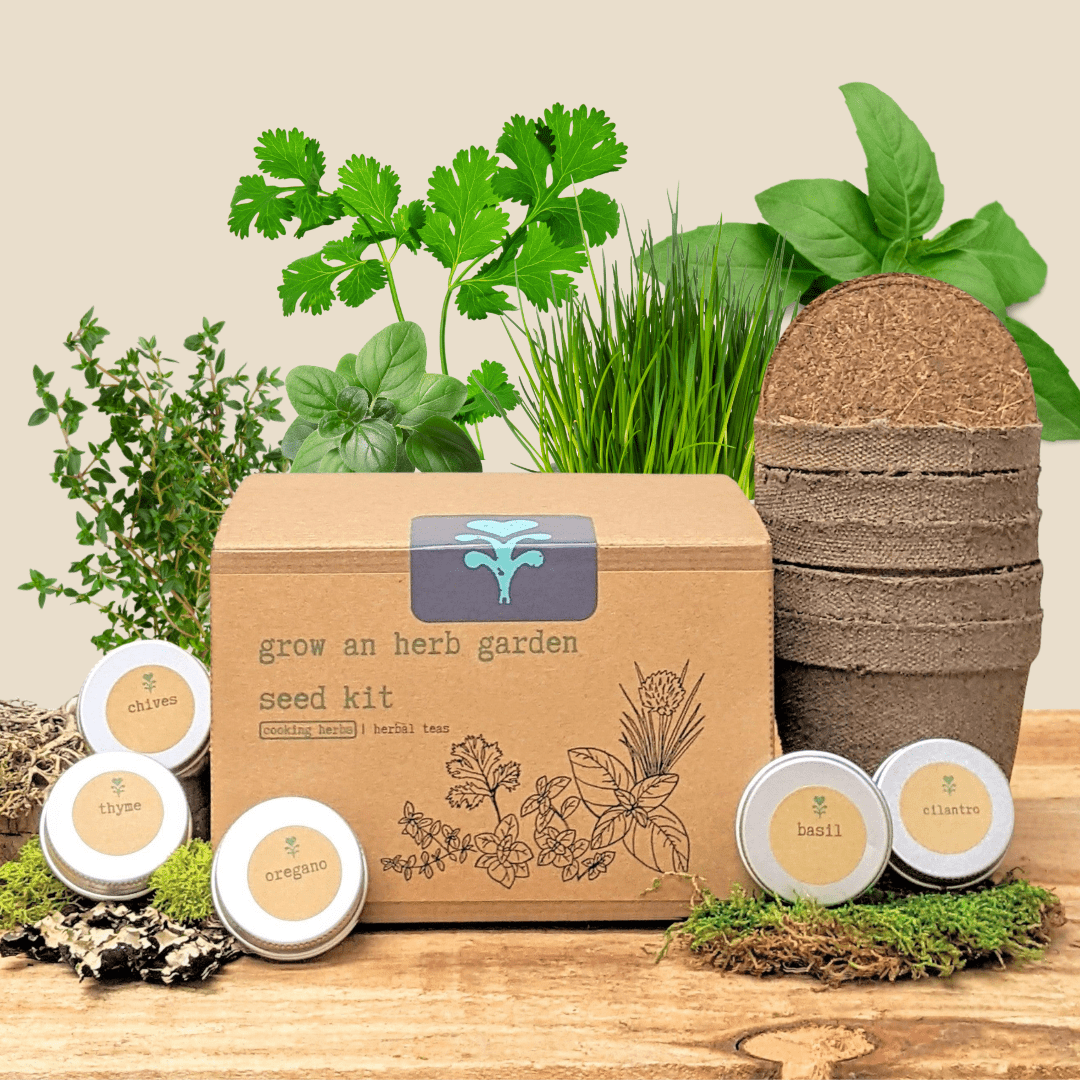 Herb seeds kit for growing cooking herbs, featuring Plantflix's Grow an Herb Garden seed set with various herb varieties.