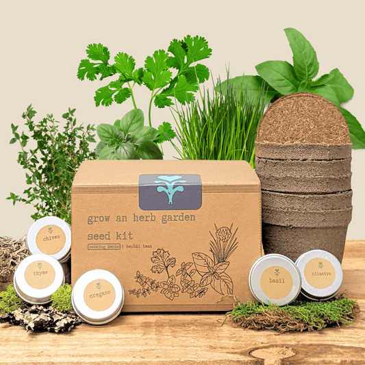Herb seeds kit for growing cooking herbs, featuring Plantflix's Grow an Herb Garden seed set with various herb varieties.
