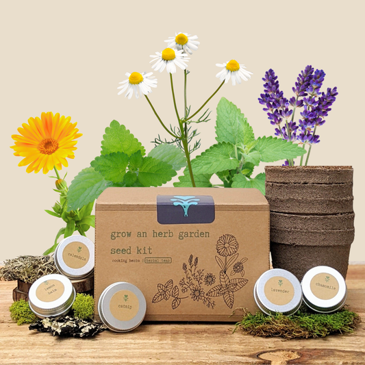 Herb seeds kit for growing herbal teas, featuring various seed packets and planting instructions from Plantflix.