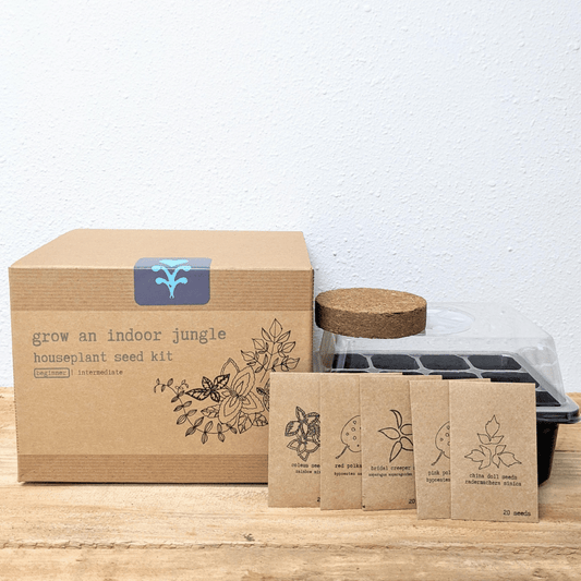 Indoor Jungle houseplant seed kit by Plantflix, featuring various seeds for growing lush houseplants indoors.