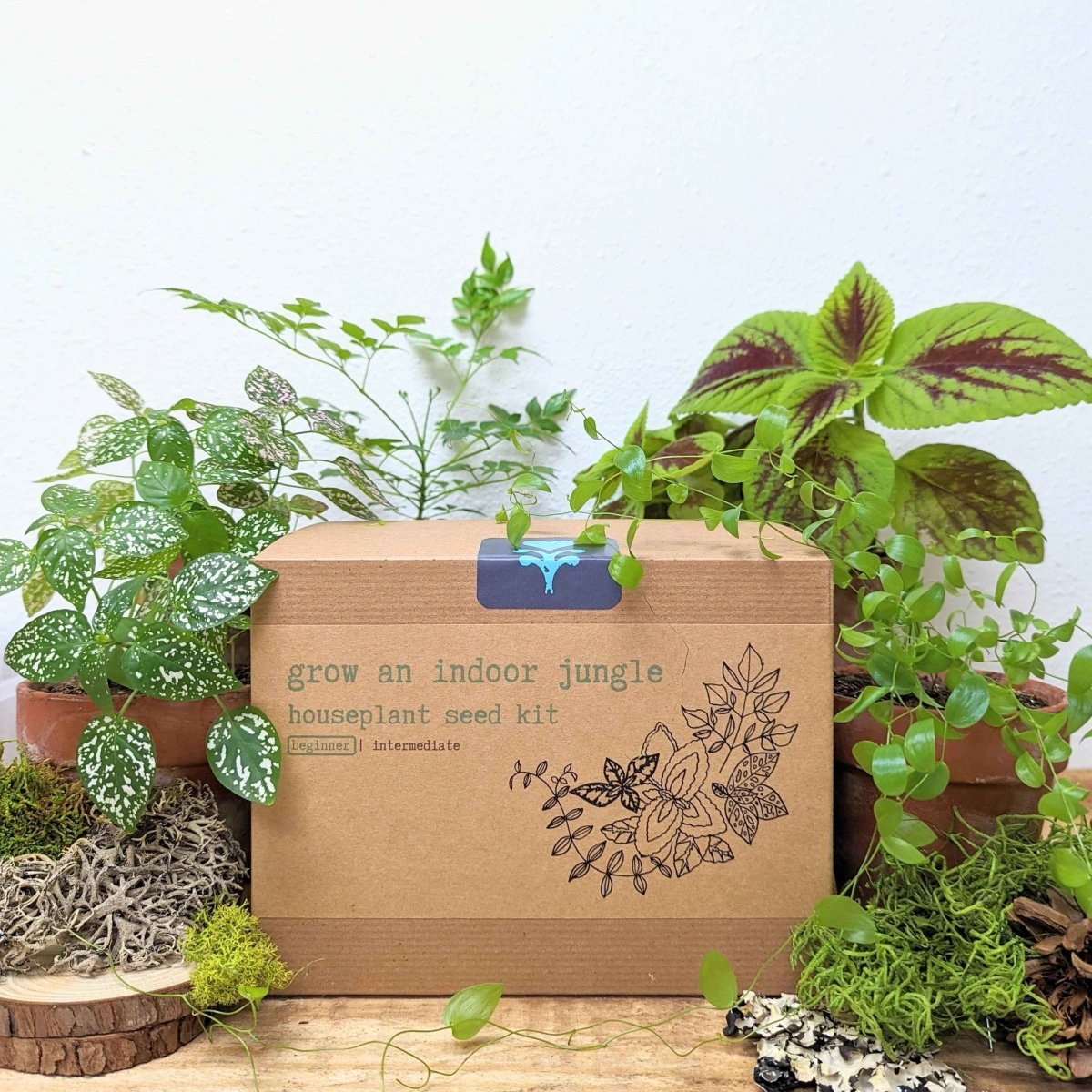 Plantflix indoor jungle houseplant seed kit with various seeds for growing lush houseplants indoors.