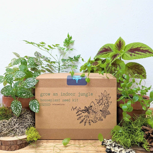 Plantflix indoor jungle houseplant seed kit with various seeds for growing lush houseplants indoors.