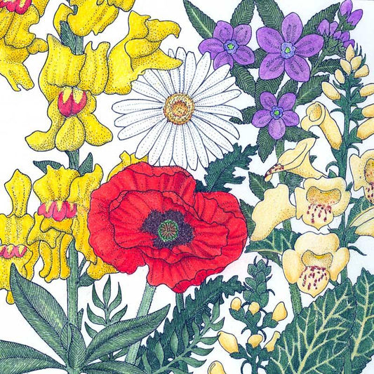 North American Shade Wildflower Mix flower seeds by Grow Organic, 1/4 lb packet for shade garden wildflowers.