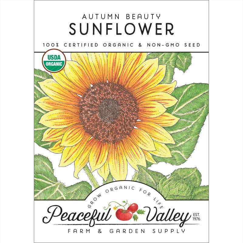 Autumn Beauty Sunflower Seeds (Organic) - Blessings Grow Meadows