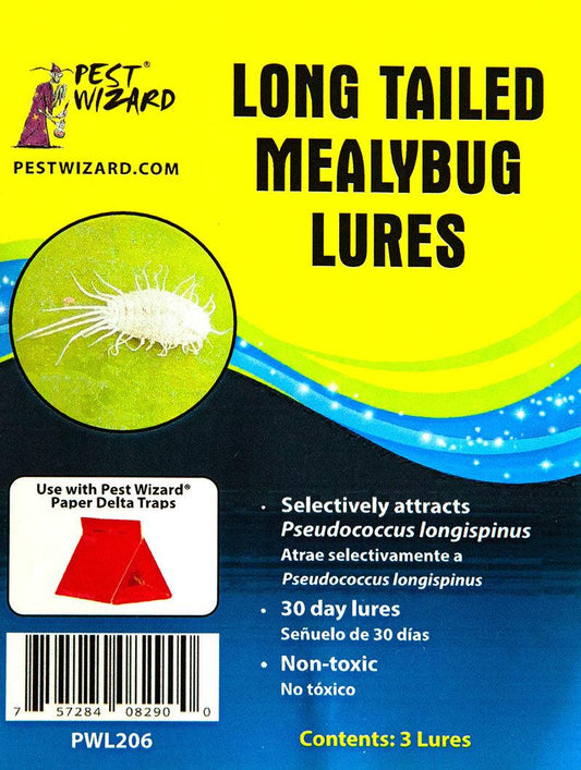 Pest Wizard Long Tailed Mealybug Lure 3-Pack - Blessings Grow Meadows