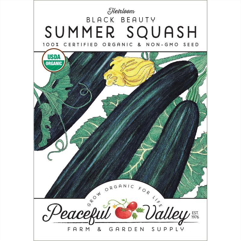 Black Beauty Summer Squash Seeds (Organic) - Blessings Grow Meadows