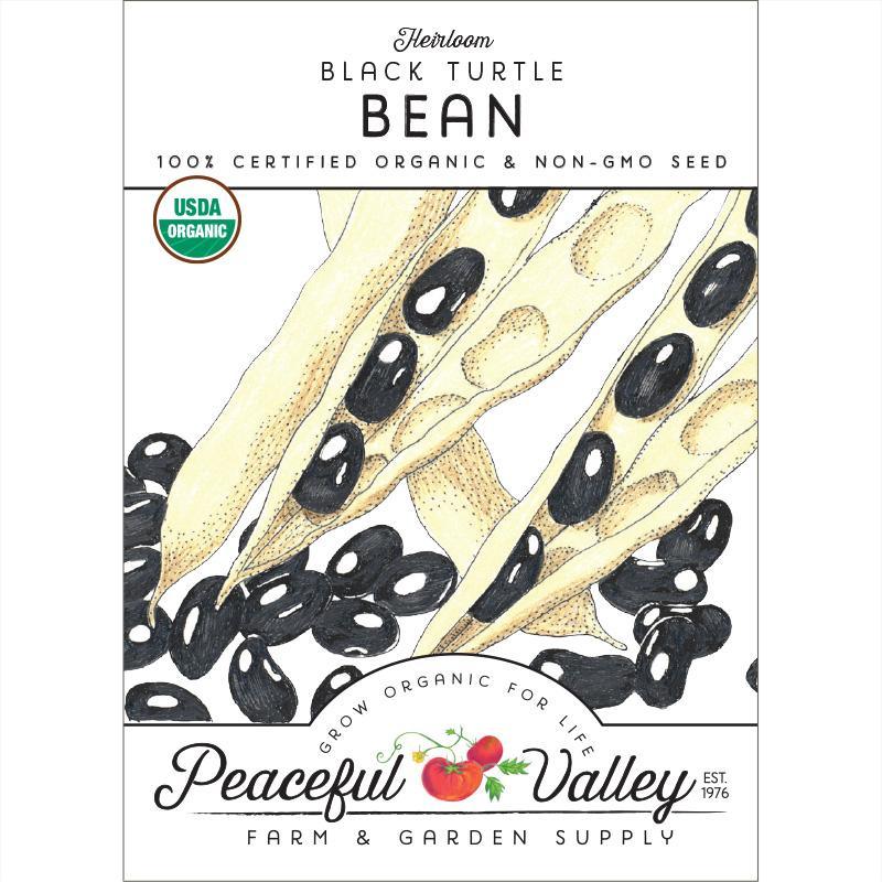 Black Turtle Bush Bean Seeds (Organic) - Blessings Grow Meadows
