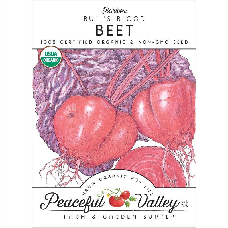Bull's Blood Beet Seeds (Organic) - Blessings Grow Meadows