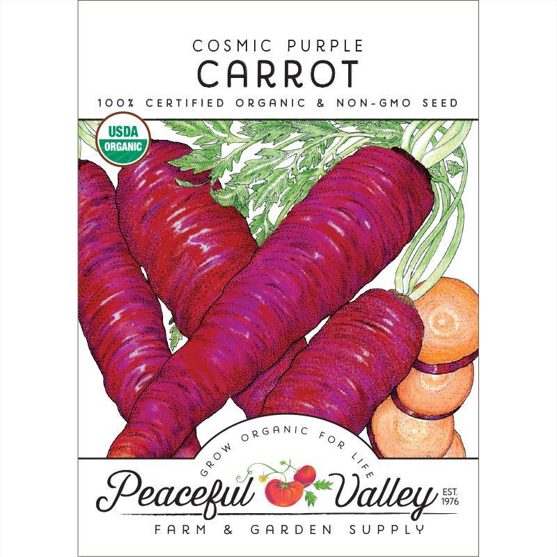 Cosmic Purple Carrot Seeds (Organic) - Blessings Grow Meadows