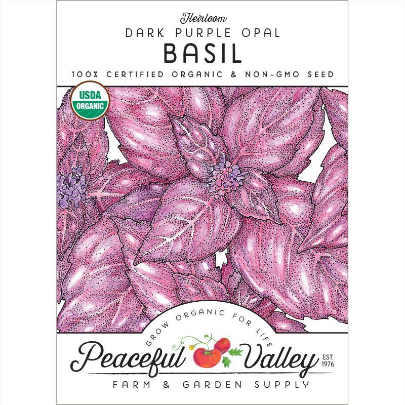 Dark Purple Opal Basil Seeds (Organic) - Blessings Grow Meadows